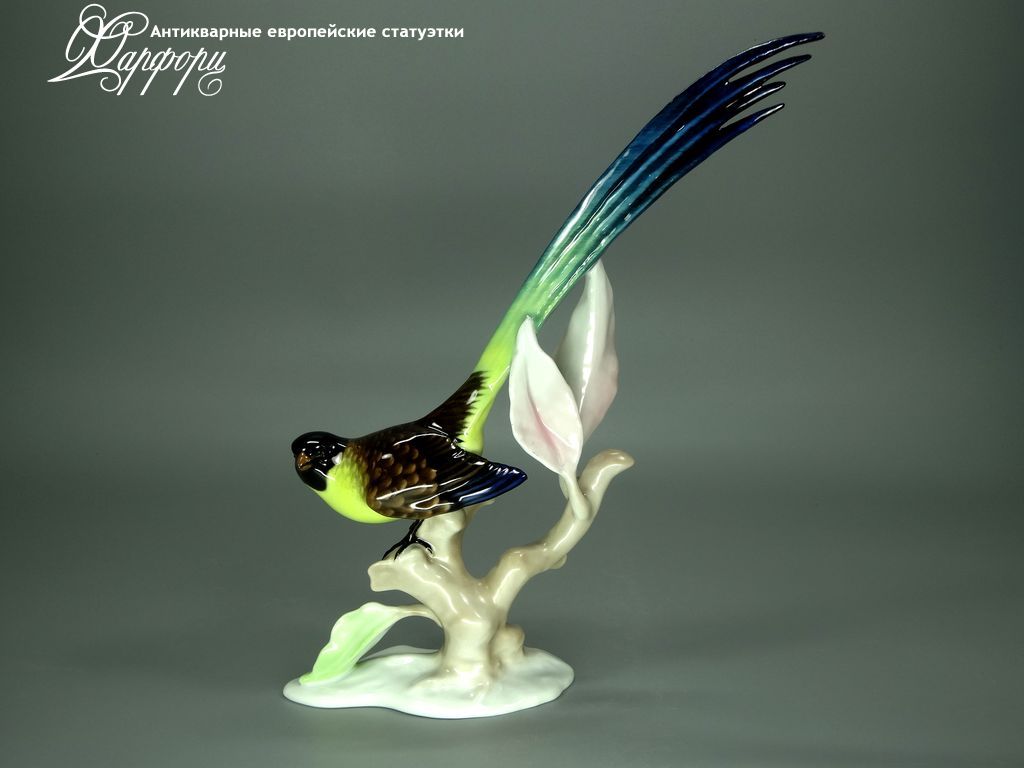Купить фарфоровые статуэтки Rosenthal, Райская птица, Германия